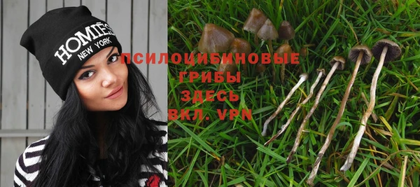 дмт Инта