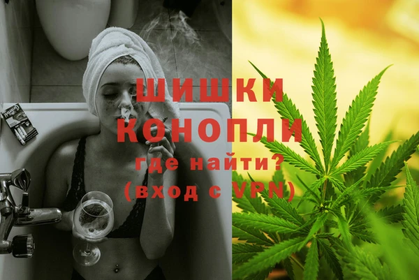 дмт Инта