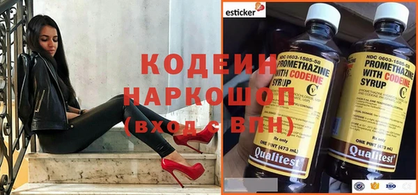 дмт Инта