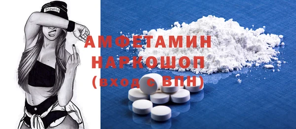 дмт Инта