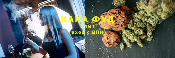 дмт Инта