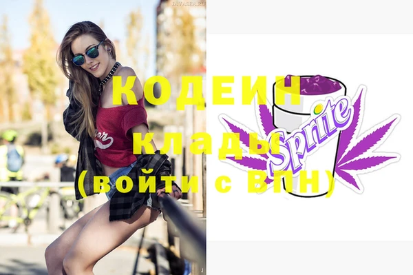 ешки Иннополис
