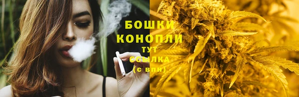 ешки Иннополис