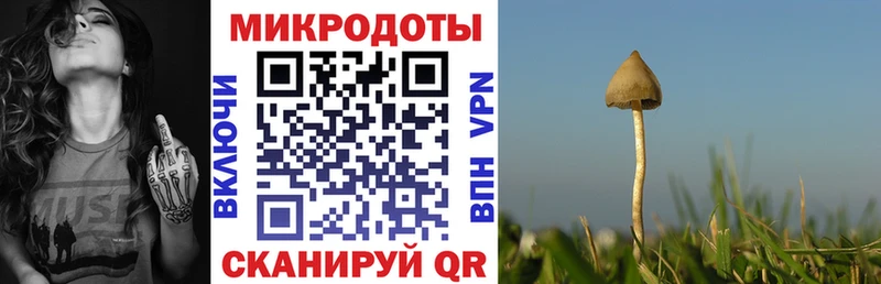 Купить закладки  Рыбное  Галлюциногенные грибы Magic Shrooms 
